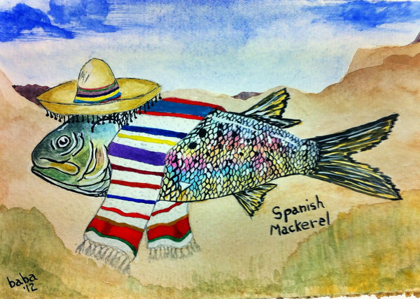 Spanish Mackeral